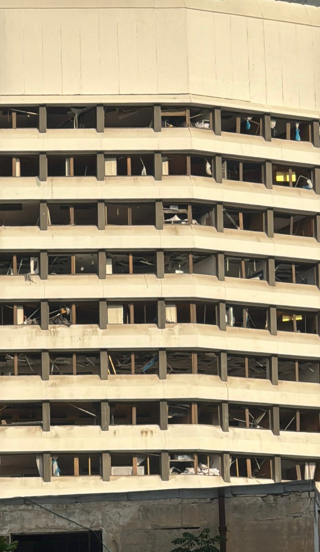 Interning in Tel Aviv with oosh.: Finding Purpose and Resilience Amid War